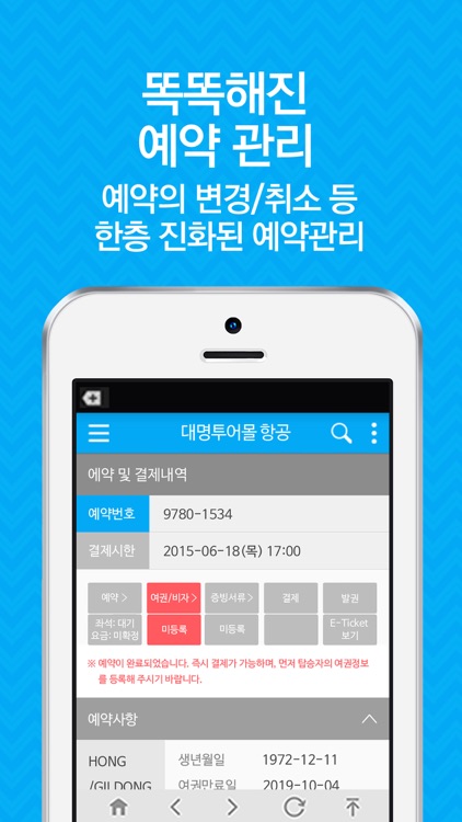 대명투어몰 항공