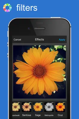 Game screenshot Colorae - Яркий Графический Редактор mod apk