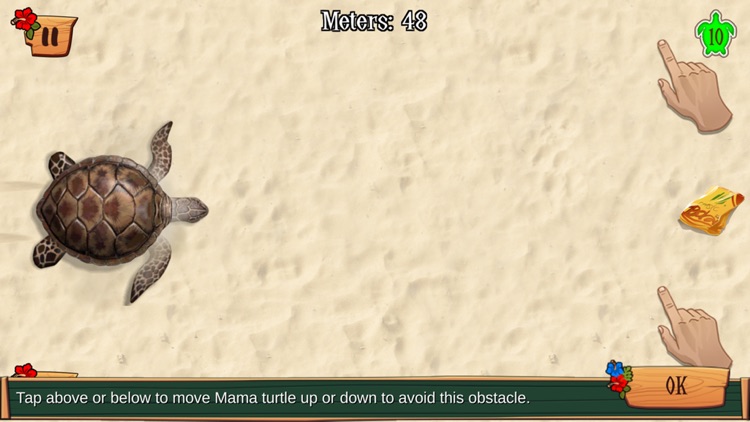 Turtle Trails – Save Me!