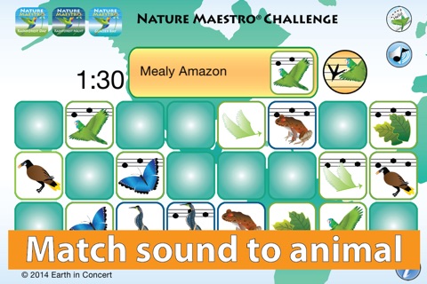 Nature Maestro Challenge screenshot 2