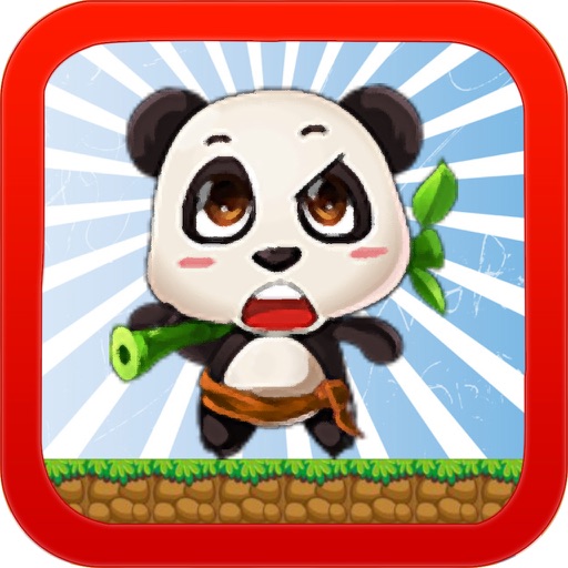 Raccoon Dash : Free Addictive Runner Game