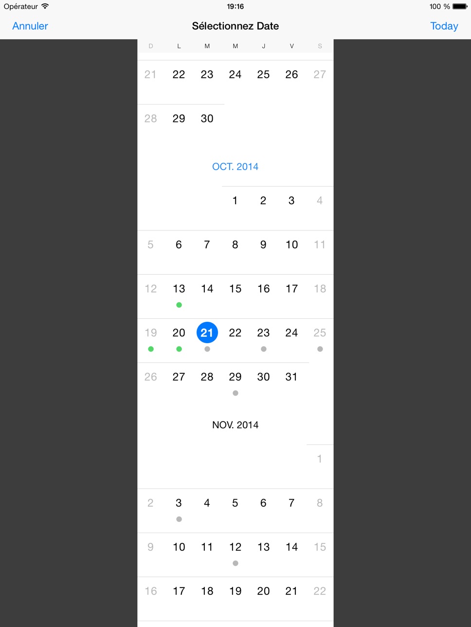 iPad screenshot