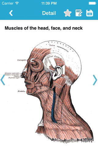 Gray's Anatomy Pro 2014 screenshot 4