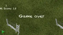 Game screenshot VeebRider apk