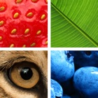Quiz Pic: Close Ups