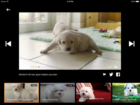 Yavru Köpek Videoları - HD screenshot 3