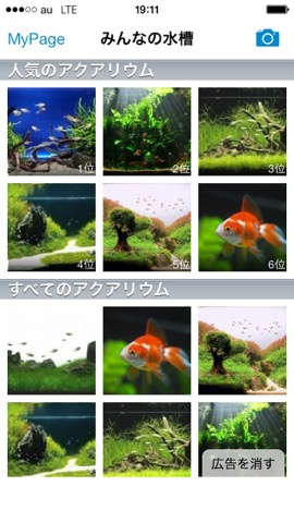 みんなの水槽【ポケットアクアリウム】のおすすめ画像1