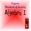 Virginia Standards of Learning: Algebra I TESTPREP