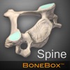 BoneBox™ - Spine Viewer - iPadアプリ