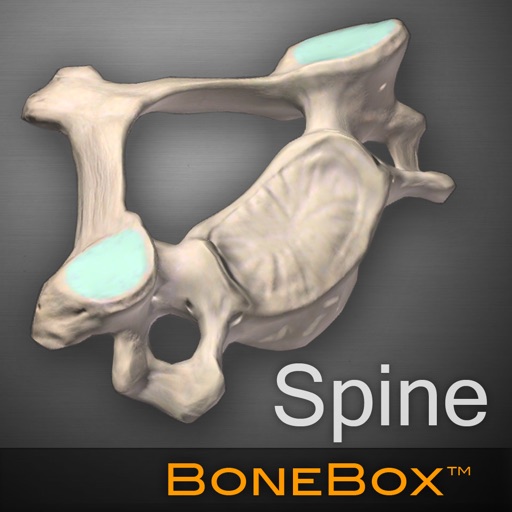 BoneBox™ - Spine Viewer