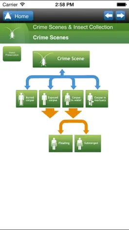 Game screenshot SmartInsects apk