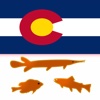 Colorado Lakes - Fishing