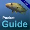 Pocket Guide UK Sea Fishing Lite is an identification guide to some of the more common fish found around the UK coastline