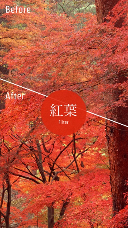 Sai-Jiki -彩時記- 季節を楽しむ大人のための写真SNS screenshot-3