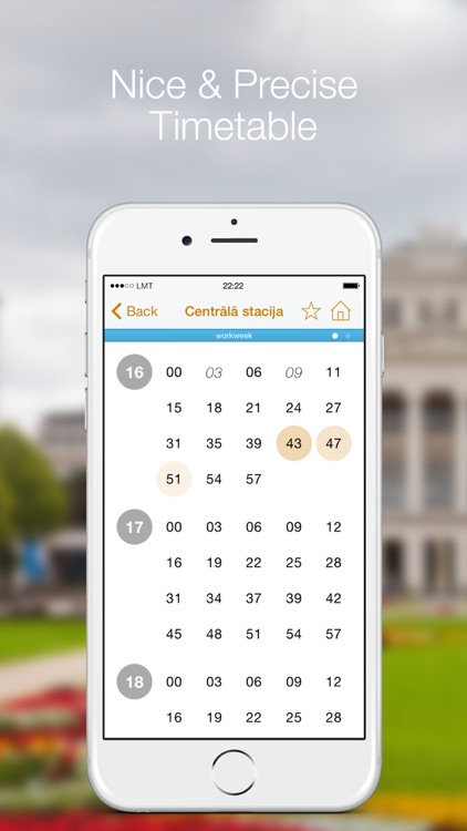 Transport LV: In Riga screenshot-3