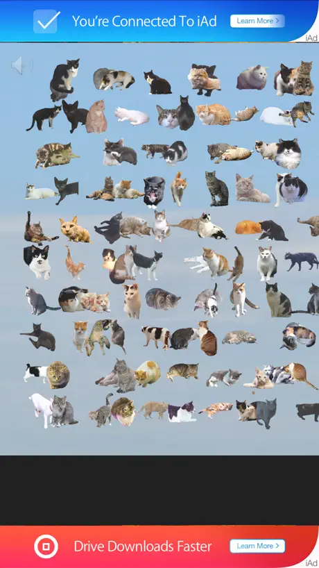 Find 101 Cats