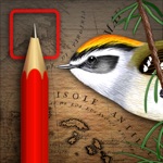 iBird Journal Listing Birds of North America