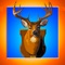 Adventure Deer Hunting & Awesome Sniper Guns