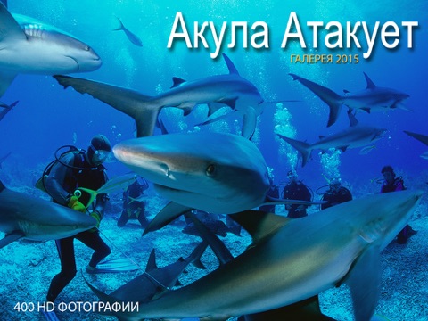 Скриншот из Shark Attack Survival: Great White & Tiger, Blue & Mako, Hammerhead & Whale