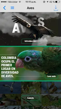 Colombia, Paraíso de la Biodiversidad. iPhone image 2