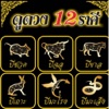 ดูดวง 12 ราศี 2558