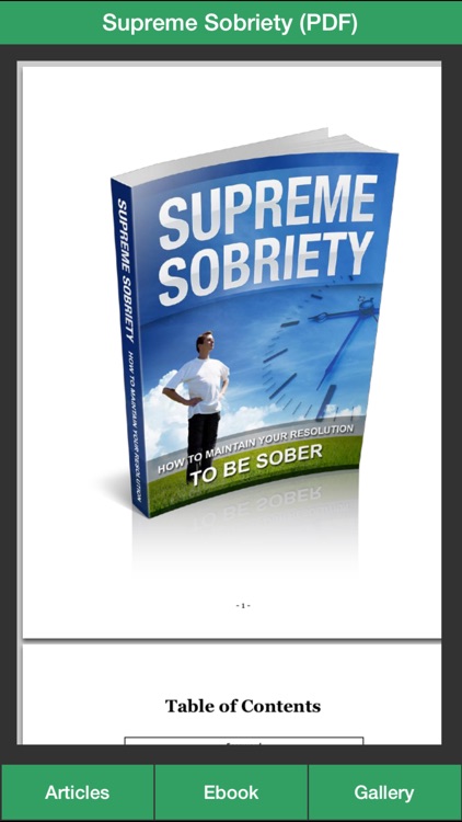 Sobriety Guide - Succeeding at Your Sober Resolutions!