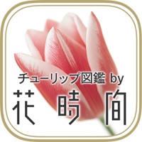 チューリップ図鑑by花時間