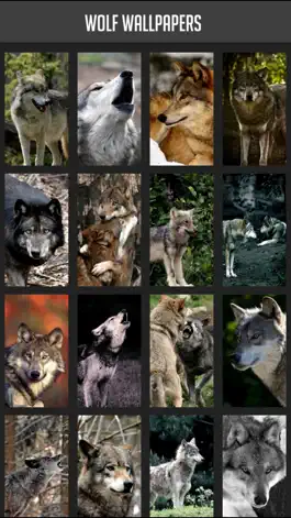 Game screenshot Wolf Wallpaper mod apk