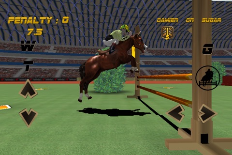 Show Jumping Race PRO screenshot 2