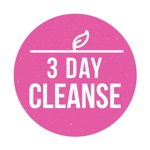 3 Day Cleanse - High Raw Food Meal Plan