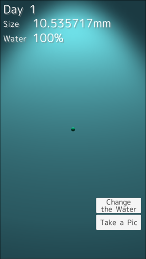 Marimo - Moss Ball Aquarium(圖1)-速報App