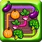 Veggies Flow fun - link the matching vegetables saga