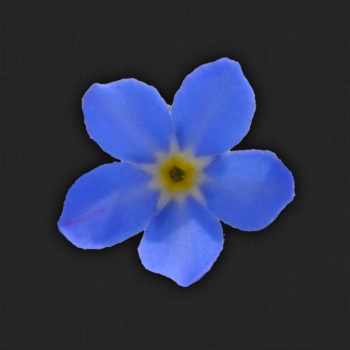 Forget-me-not! iOS App