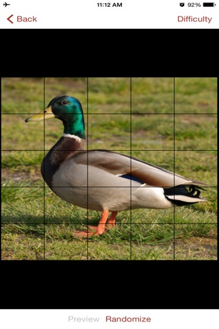 Duck Puzzles Extreme! screenshot 3