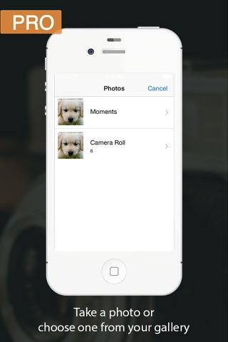 Search for Images Pro: Take a picture and discover what it is screenshot 3