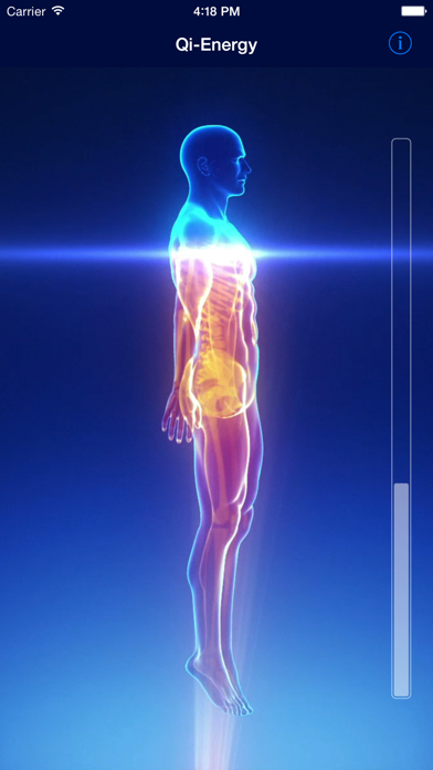 Screenshot #1 pour Qi-Energy