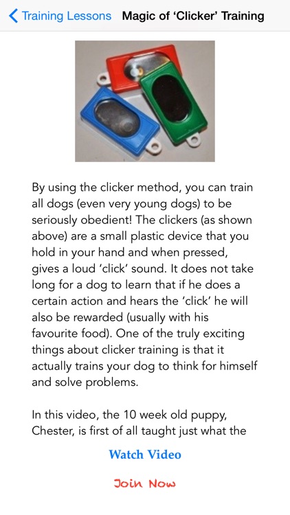 Dog Training With Clicker