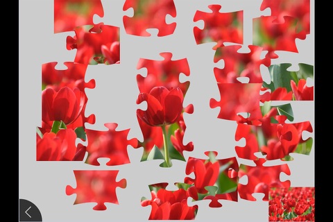 Nature 2 - Jigsaw and Sliding Puzzles screenshot 2