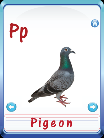 Screenshot #6 pour Préscolaire Jardin d'enfants Enfants Anglais Abc Alphabets &numéros Flash Cartes
