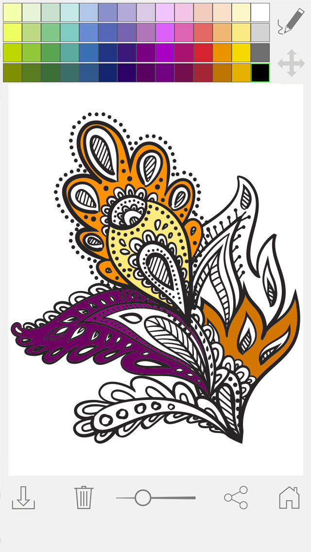 Paint and color mandalas Coloring book for adults