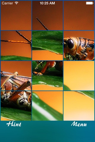 Bugs and Slugs Jigsaw Puzzle screenshot 2