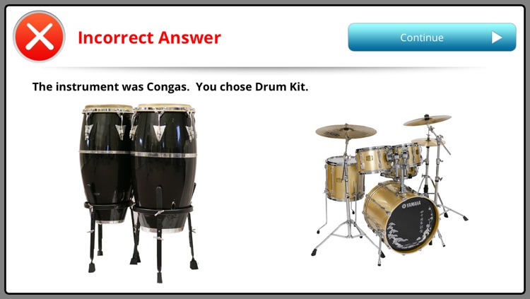 Musition Instrument Recognition