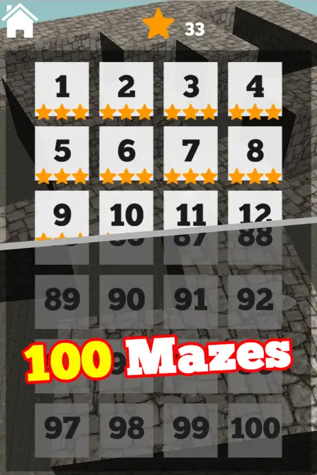 3D Maze Level 100