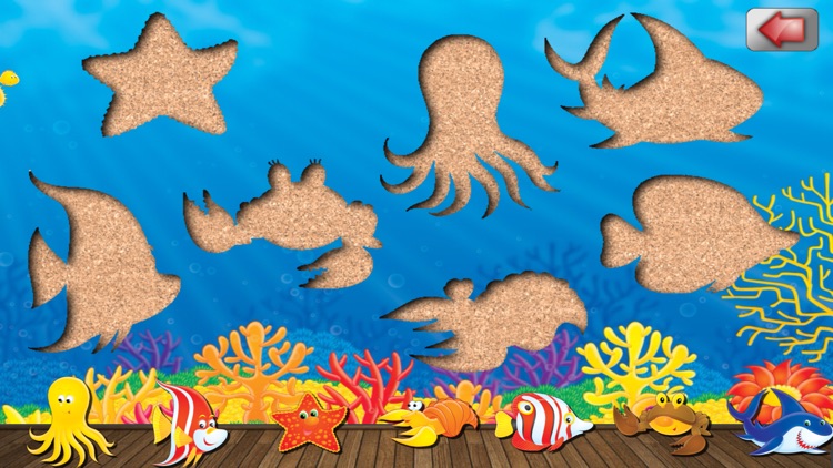 Ocean Animals