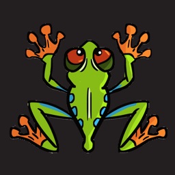 Frogs and Flies Game