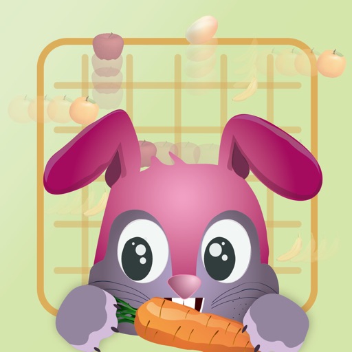 Happy Bunny - Dodge Game icon