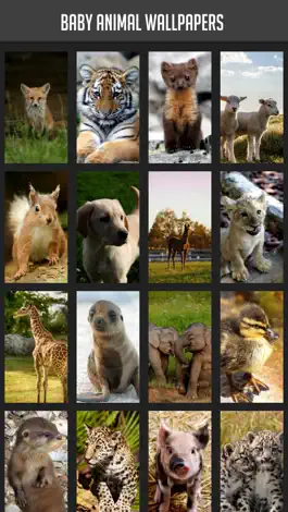 Game screenshot Baby Animal Wallpapers mod apk