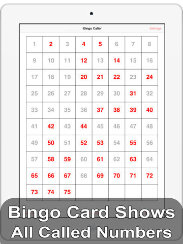 iBingo Caller - Play Bingo at Home with Friends!のおすすめ画像4