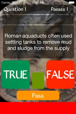 Game screenshot True or False - The Roman Empire apk