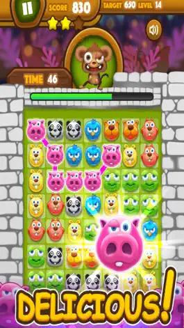 Game screenshot Pet Link Pop mod apk